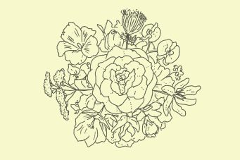 CO_Clases_IntroFlores-30_calendario